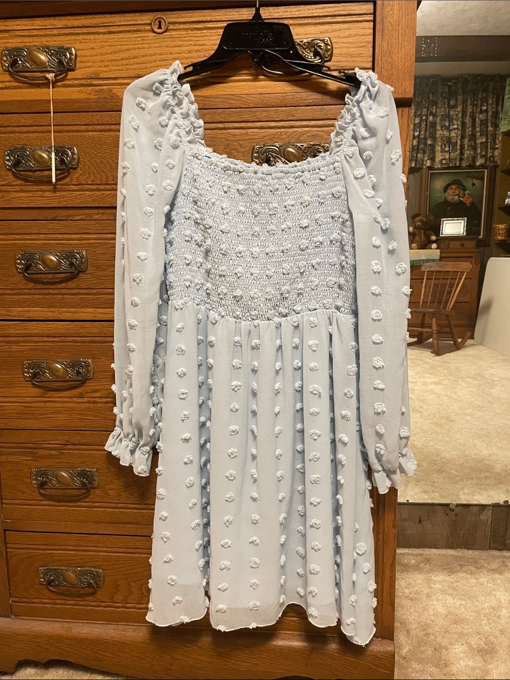 Light Blue Smocked Dot Long Sleeve babydoll Dress